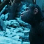 Macaco não mata macaco