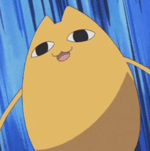 Hello Everynyan short