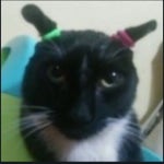 Yu Yu Hakusho -English- Sayonara Bye Bye