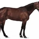 sped up greasy poppin - Sound