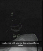 10 phones incoming call Various ringtones