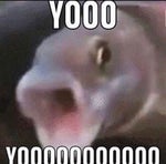 yooooooooooo (JapaneseChinese Funny Scream) - Sound