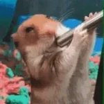 Botaram o menor pra mamar