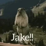 im jaking it im jaking it