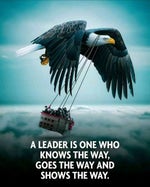 97RAB SACHMUCH US DI