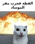 onp soundboard - Sound