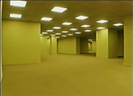 backrooms Steroaphone