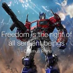 "freedom is the right of all sentient beings" - Optimus Prime