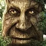 are you coming to the tree