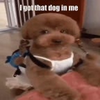 Got that DAWGGG IN ME