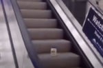 mayonnaise on an escalator (full song) - Sound