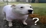 huh