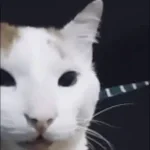 horrors beyond human comprehension