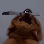 mathah, mother i crave violence - Sound