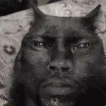 Kiprasadomenas (copy)