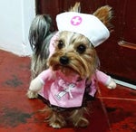 el chavo del 8 RKT saturado