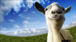 goat simulator - Sound