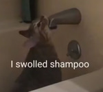 I swallowed shampoo, probably gonna die