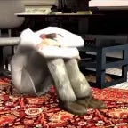 Half life 2 Teleporter kleiner scream