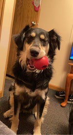 skinned my knee...falling 4 you - Sound