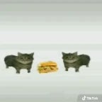 REEEEEEEEEEEEEEEEEEEEEE