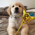 cooked dog meme sound