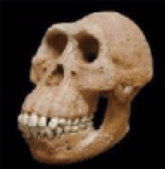 Thundercat Funny Thing (Lyrics)