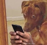 name is walter hartwell white