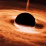 Zanders cute hole (copy)