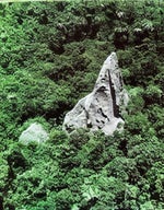 and the rock or tree