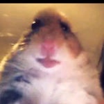 قنقيلو - Sound