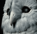 [5] Risk – Deftones