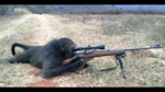 Yes, I'm a simp. Sniper Monkey