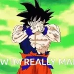 goku - Im very angry (copy)