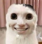 Adrian, Explain Our Friend Group