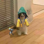 You Should Run Killjoy Ultimate Line