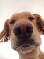 Charlie Puth Left And Right