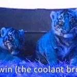 TIGER BABY, WHIP ME BABY