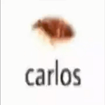 send me on my way low quality