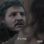 the last of us the end