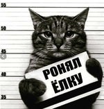 Halvorsen, Netrum - Phoenix [NCS Release]