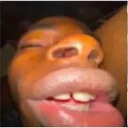 Ale ik word gekilled door een kerstboom