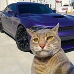 MONTAGEM ATENAS ESTELAR V1 DJ ORBITAL