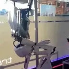 IRIS V 1 ROBOTIZADA 2 - ROTEIRO