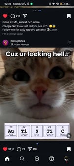 mommy is going to give you some kisses