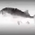 Hey Ya! Low quality (copy)