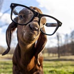 XBOX LIVE! [Slowed and cut]