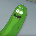 I'm Pickle Rick Sound Clip