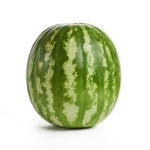 Golden Krush x Nobara A (RUS)