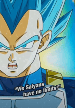 we saiyans have no limits